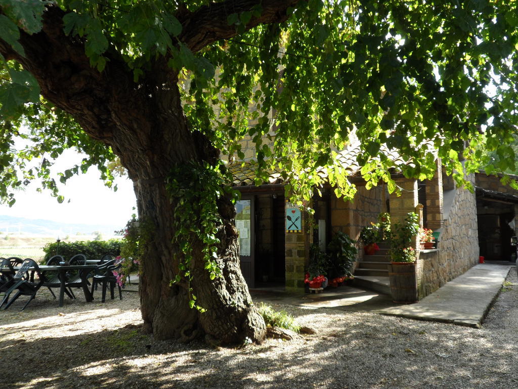 Mola Solis Civitella dʼAgliano Exterior foto