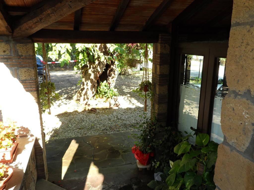 Mola Solis Civitella dʼAgliano Exterior foto