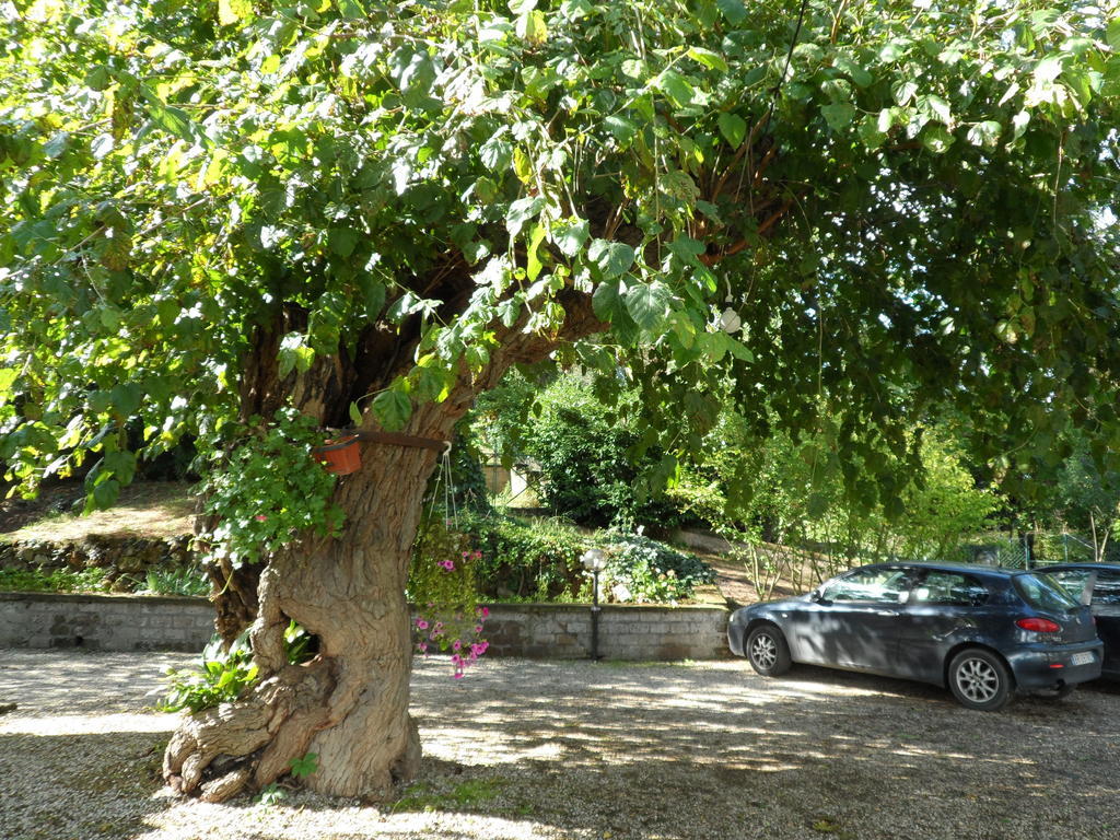 Mola Solis Civitella dʼAgliano Exterior foto