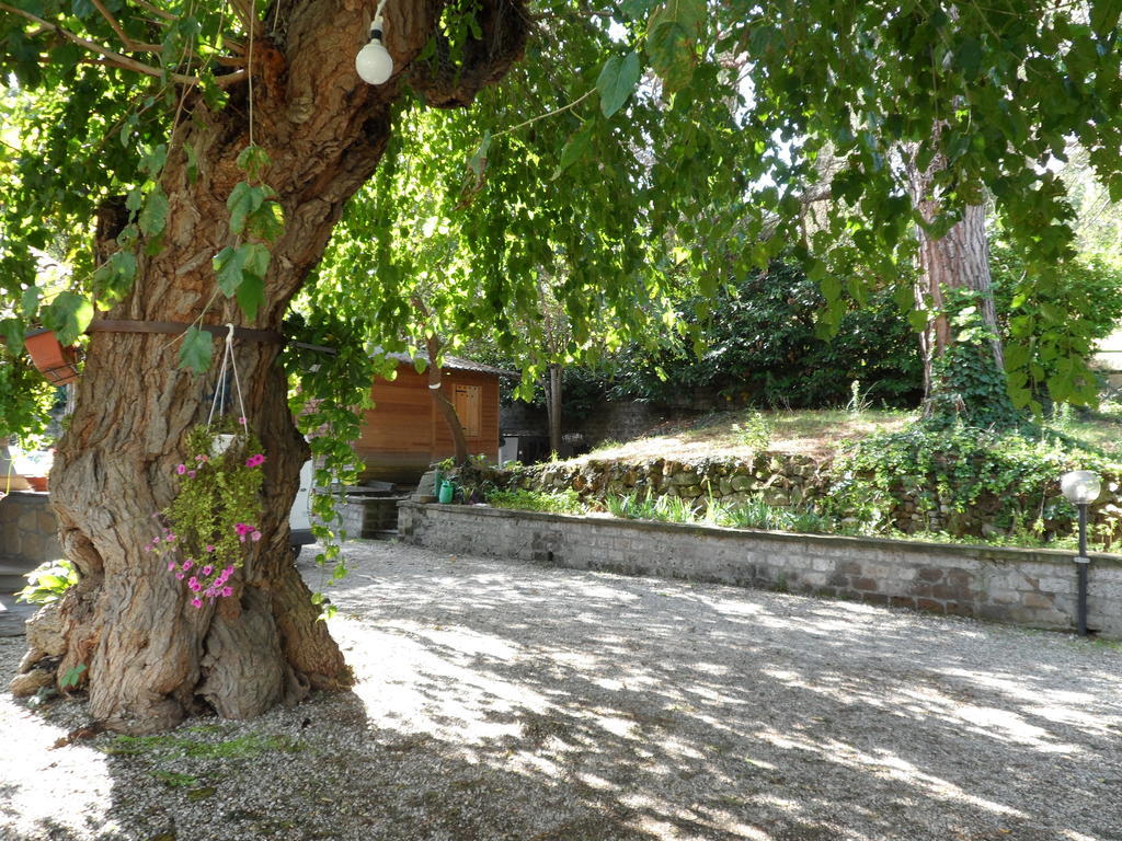 Mola Solis Civitella dʼAgliano Exterior foto
